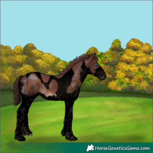 Horse Color:Void Platinum Liver Chestnut Splash Tobiano 