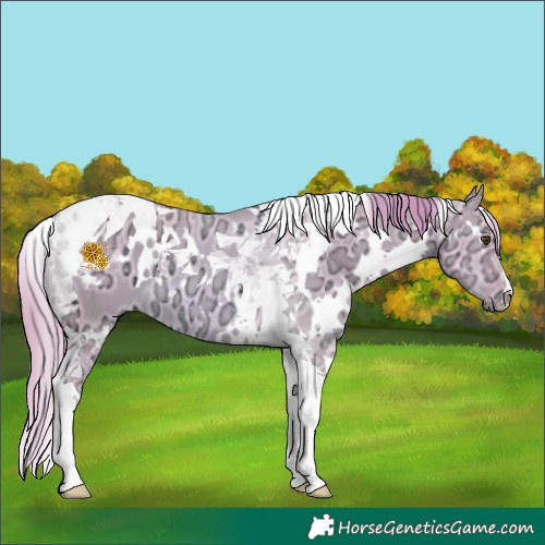 Horse Color:Watercolor White Spotted Red Dun Ice Tobiano 
