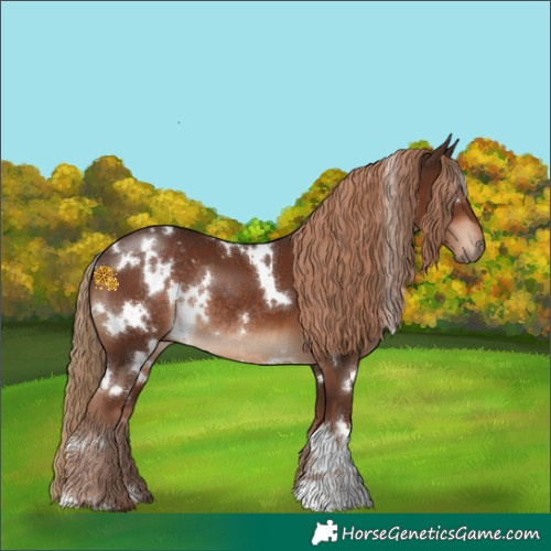 Horse Color:White Spotted Liver Chestnut Rabicano 