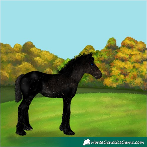 Horse Color:Void Brown Dun Sabino Splash 