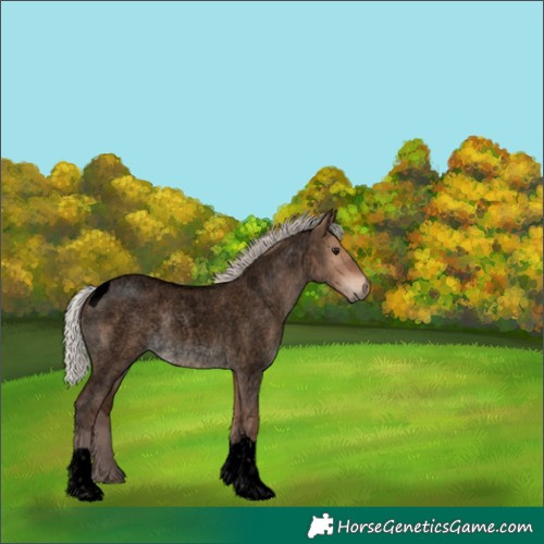 Horse Color:Void Silver Brown Roan Dun Tobiano 