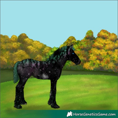 Horse Color:Void Platinum Watercolor Brown Sabino Splash Appaloosa 