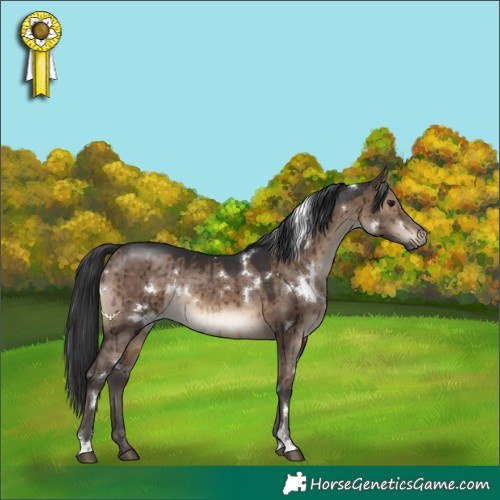 Horse Color:White Spotted Brown Dun Rabicano Brindle 