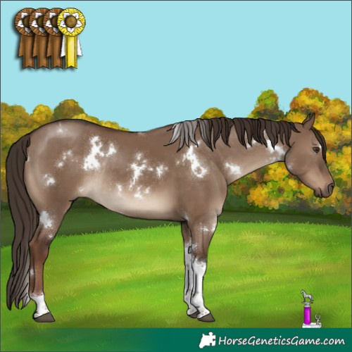 Horse Color:White Spotted Liver Red Dun Tobiano Rabicano 