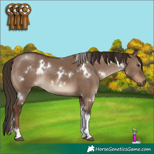 Horse Color:White Spotted Liver Red Dun Tobiano Rabicano