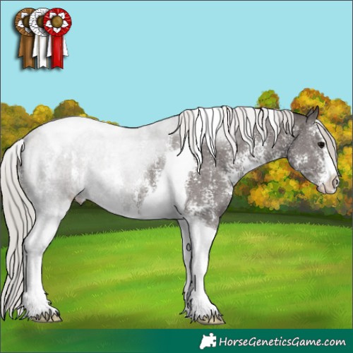 Horse Color:Silver Black Sabino Tobiano 