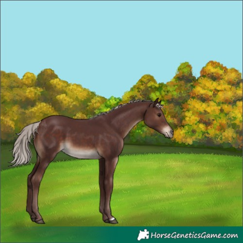 Horse Color:Chocolate Silver Brown 