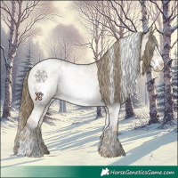 Horse Color:White Spotted Buckskin Roan Snowdrop Frame Appaloosa
