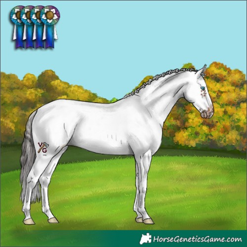 Horse Color:White Spotted Bay Splash Frame 