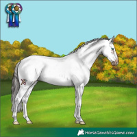 Horse Color:White Spotted Bay Splash Frame 