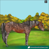 Horse Color:Silver Brown  and Bay 