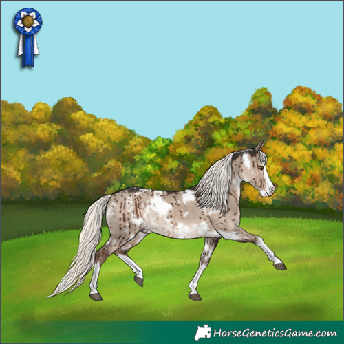 Horse Color:White Spotted Liver Red Dun Mushroom Splash Rabicano Brindle 