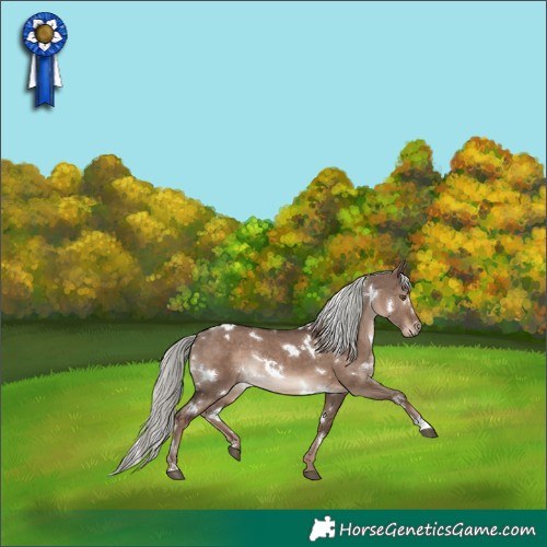 Horse Color:White Spotted Liver Red Dun Mushroom Rabicano 