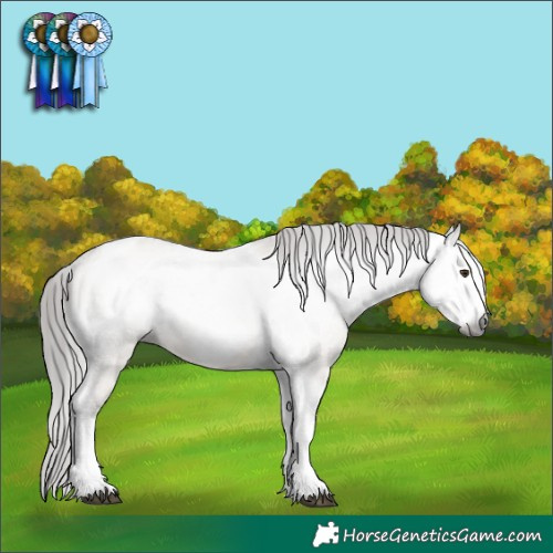 Horse Color:Gray Liver Red Dun Tobiano Frame Varnish Rabicano 