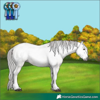 Horse Color:Gray Liver Red Dun Tobiano Frame Varnish Rabicano 