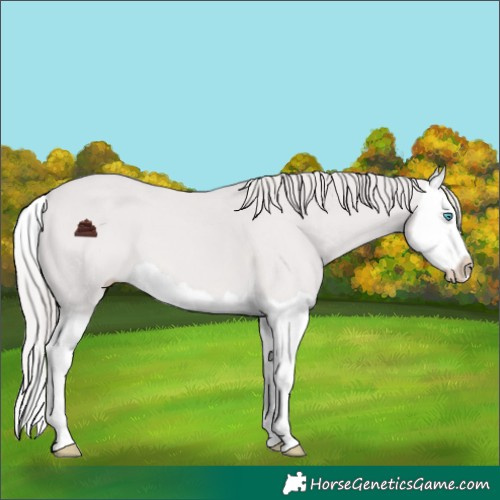 Horse Color:Platinum Smoky Creme Splash 