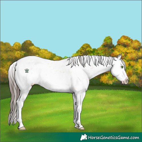 Horse Color:White Spotted Classic Champagne Dun Sabino 