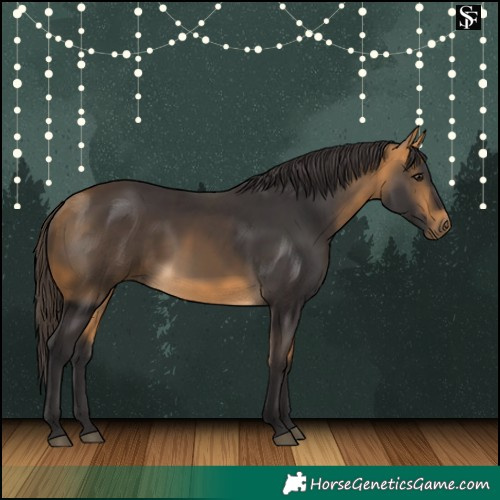 Horse Color:Buckskin 