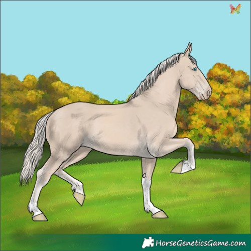 Horse Color:Cremello Tobiano