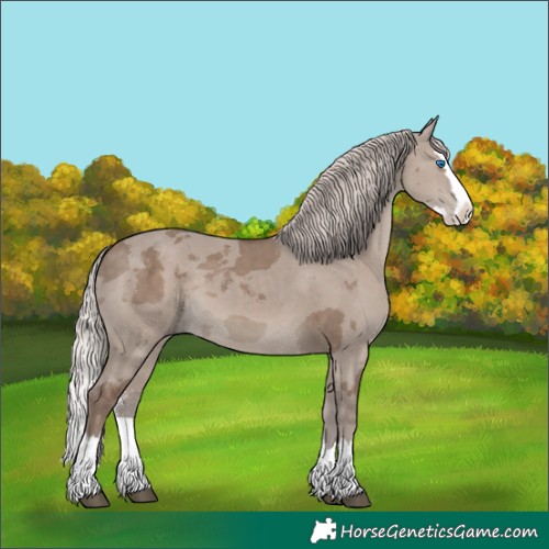 Horse Color:Silver Grullo Merle Sabino Splash 