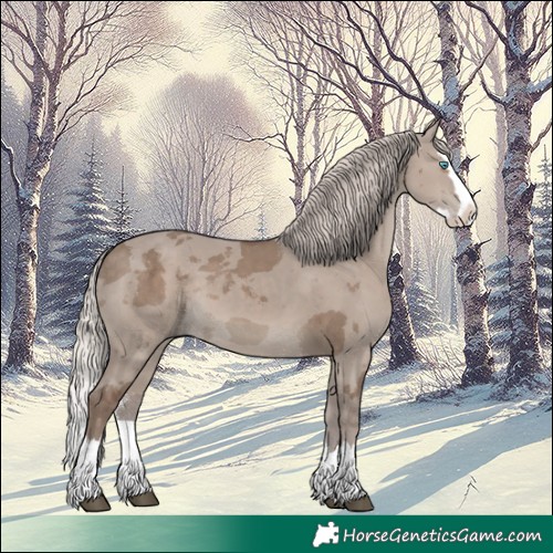 Horse Color:Silver Grullo Merle Sabino Splash 
