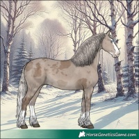 Horse Color:Silver Grullo Merle Sabino Splash
