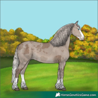 Horse Color:Silver Grullo Merle Sabino Splash 