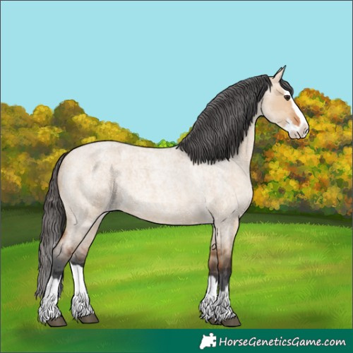 Horse Color:Bay Roan Dun Merle Splash Rabicano 