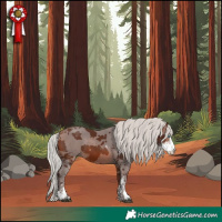 Horse Color:Silver Bay Merle Sabino