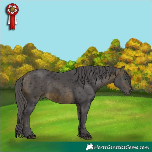 Horse Color:Buckskin Merle 