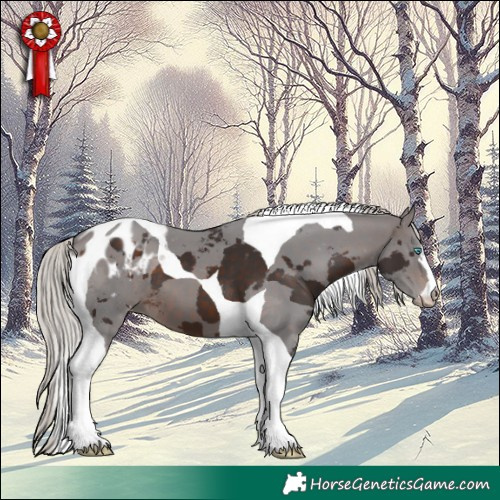 Horse Color:Silver Brown Merle Tobiano Blanket 