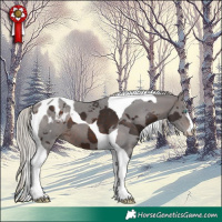 Horse Color:Silver Brown Merle Tobiano Blanket 