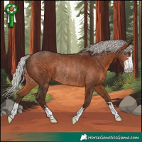 Horse Color:Silver Bay Rabicano