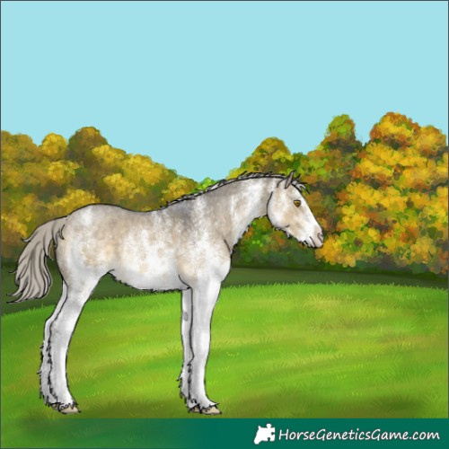 Horse Color:White Spotted Silver Buckskin Dun 