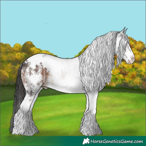 Horse Color:White Spotted Liver Chestnut 