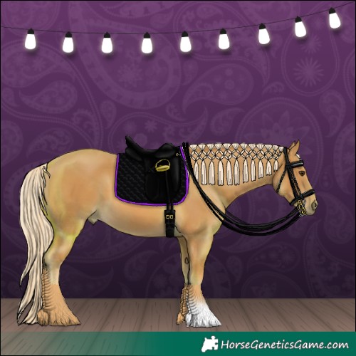 Horse Color:Palomino