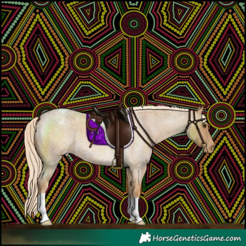 Horse Color:Palomino Roan Varnish 