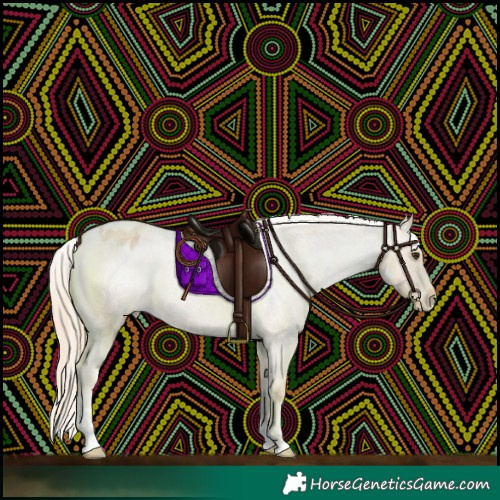 Horse Color:Palomino Roan Appaloosa