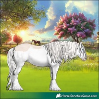 Horse Color:Cremello Splash 