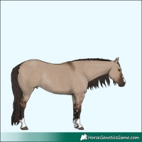 Horse Color:Liver Red Dun Rabicano