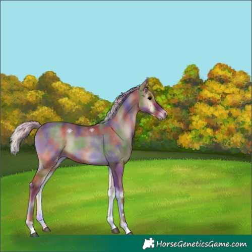 Horse Color:Nacre Silver Blue Onyx