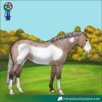 Horse Color:Silver Brown Roan Dun Frame