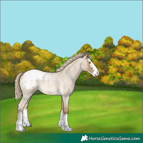 Horse Color:Chocolate Palomino Roan Dun Sabino Splash Snowflake VarnishRabicano 