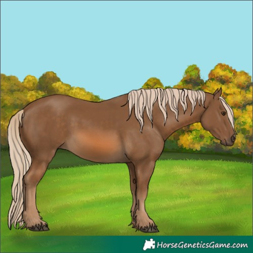 Horse Color:Chocolate Palomino 