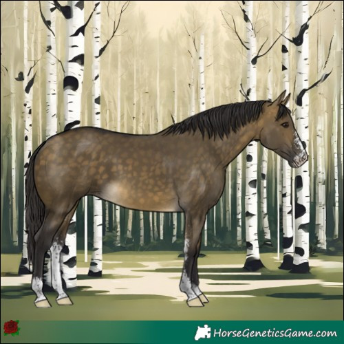 Horse Color:Buckskin Dun Sabino 