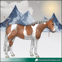 Horse Color:Silver Bay Tobiano