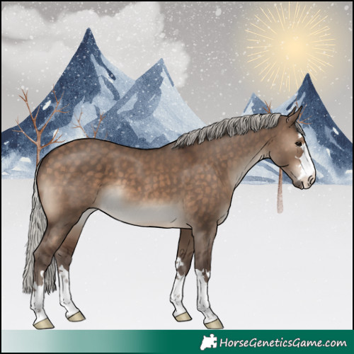 Horse Color:Silver Brown Dun 