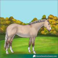 Horse Color:Silver Brown Dun 