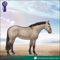 Horse Color:Bay Dun Varnish Rabicano 