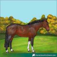 Horse Color:Brown Tobiano 